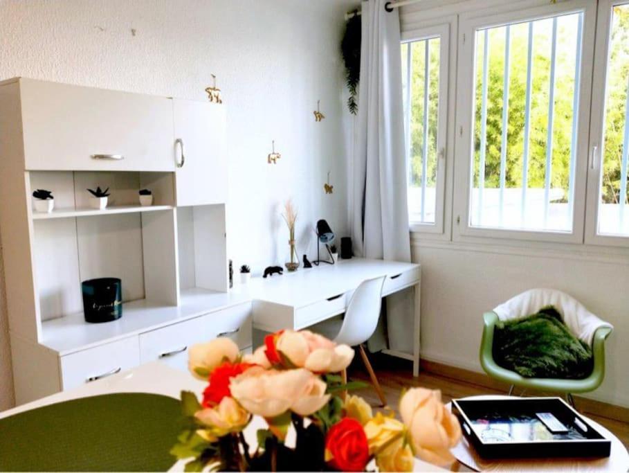 Studio Proche Centre Wifi Parking Appartement Montpellier Buitenkant foto